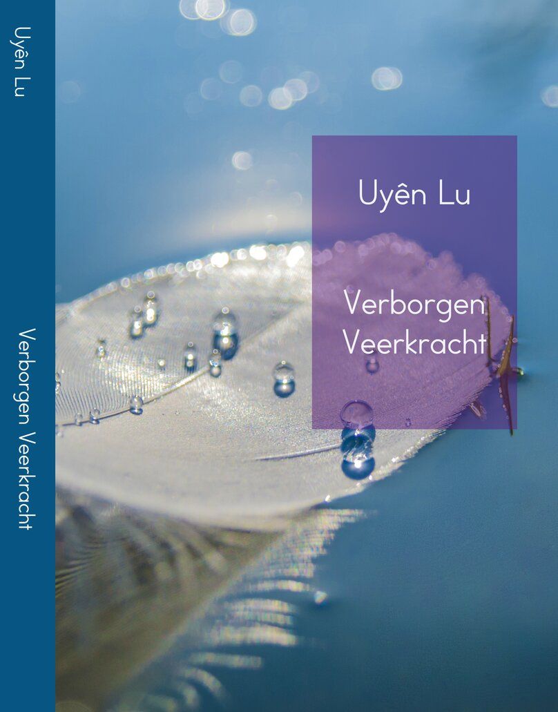 Verborgen Veerkracht